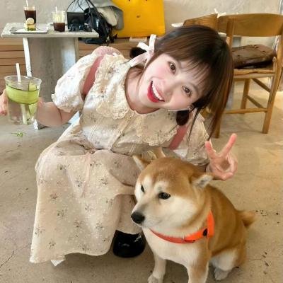 灵探特莱丝