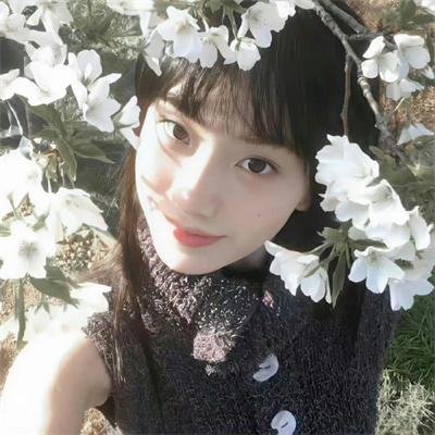 森林